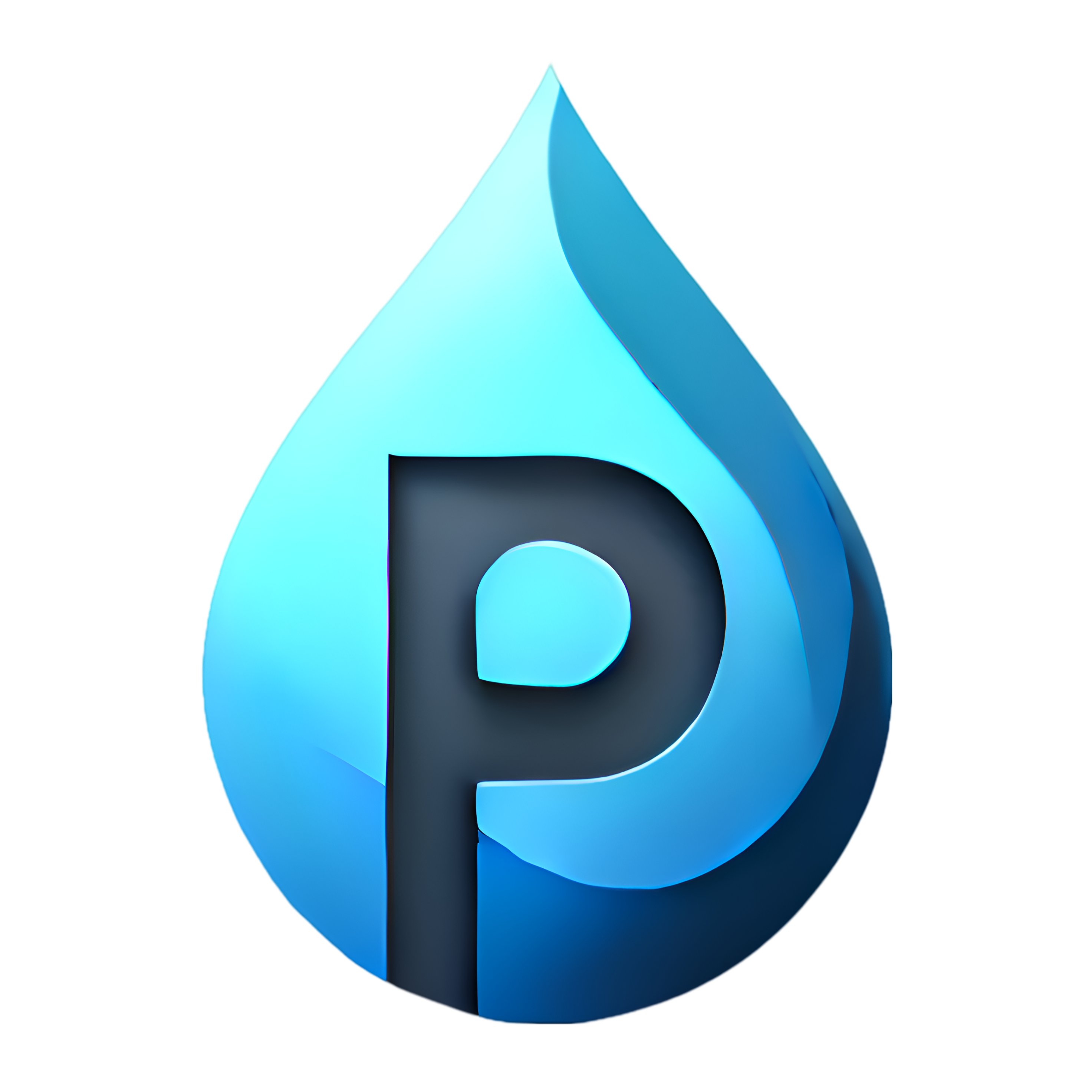 P Water Services